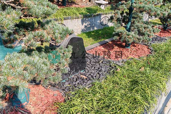 寻一处安宁探访九公山陵园，共创生命的宁静家园