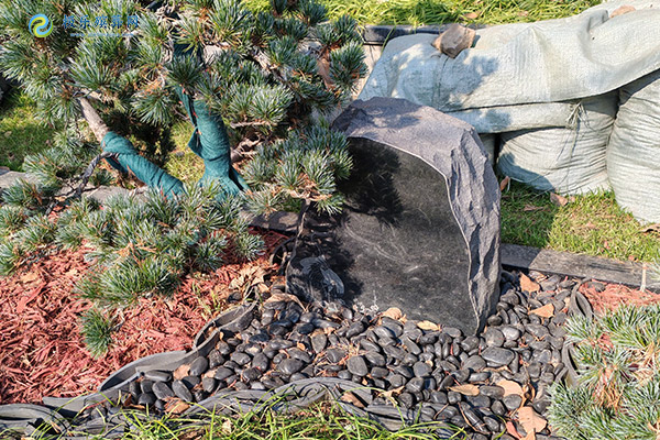 北京墓园骨灰壁葬费用一般多少？壁葬价格与费用构成解析